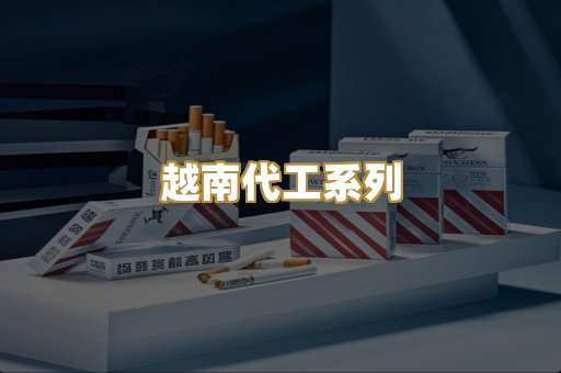 越南代工系列